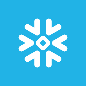 Snowflake Inc (SNOW)